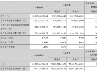 寧德時代半年財報：凈利潤增130%至21億元 四大風(fēng)險需警惕