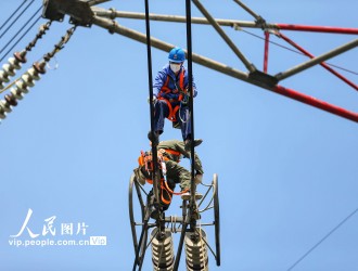 國家電網(wǎng)董事長(zhǎng)辛保安與東方電氣集團(tuán)董事長(zhǎng)俞培根會(huì)談