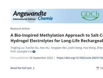 柔性鈉離子電池容量及穩(wěn)定性獲提升！新技術(shù)可防止電解質(zhì)鹽析……